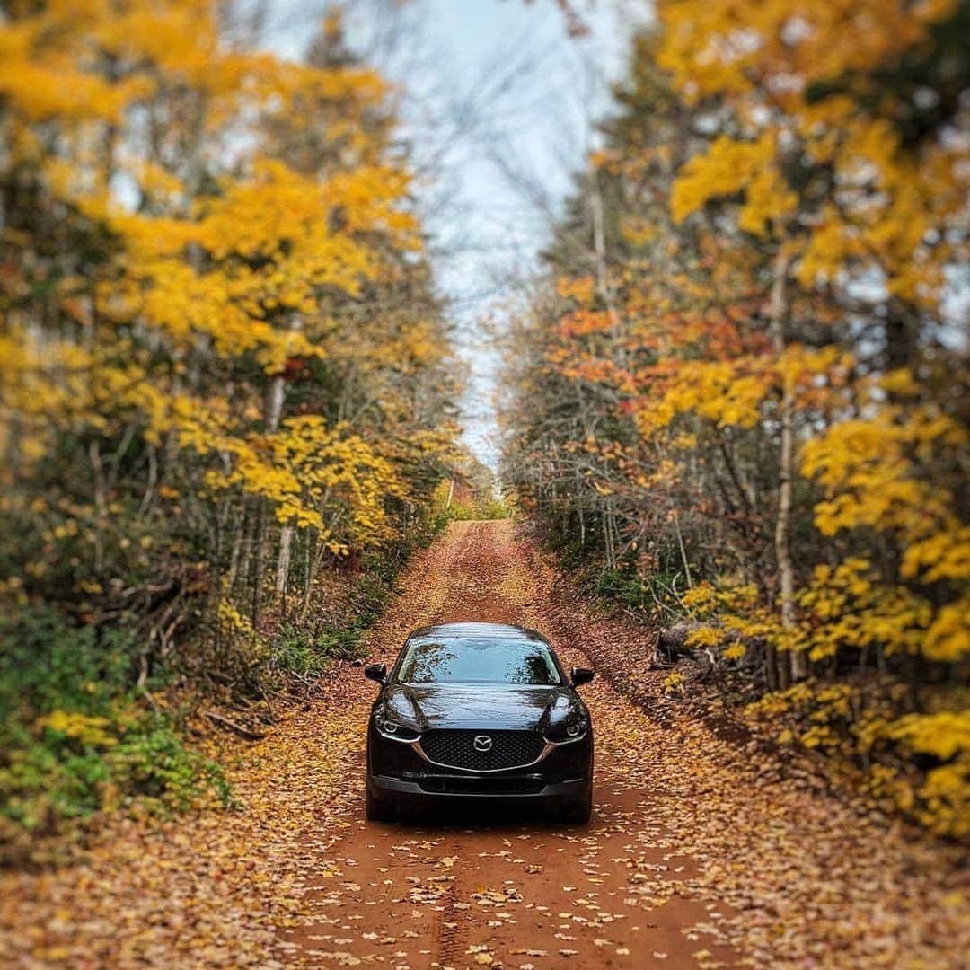 MAZDA Canadaのインスタグラム：「Taking the road less travelled in the Mazda CX-30. 📸: @david.thesocialadvisor」