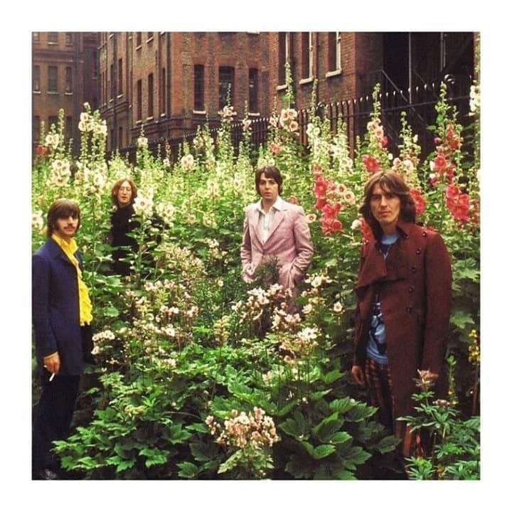 マッタのインスタグラム：「...and now time for a much needed music break✨⁠ Turn on your favorite song and enjoy. The unknown void will still be there when you return 😘」