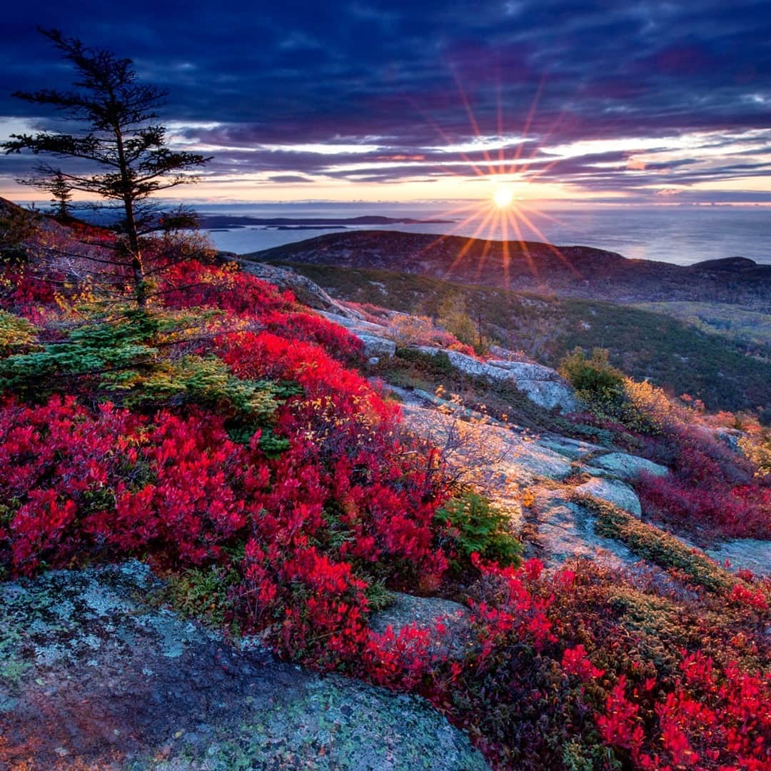 アメリカ内務省さんのインスタグラム写真 - (アメリカ内務省Instagram)「A new dawn on a new day at Acadia National Park in #Maine. From the middle of October through early March, #Acadia's Cadillac Mountain is the first place where the sun appears each day in the continental United States. The wonders don't stop after sunrise, though. Visitors can marvel at the fall colors and explore the forests, ponds, meadows and coastline on 27 miles of historic motor roads, 158 miles of hiking trails and 45 miles of carriage roads. You'll never want to leave. Photo @AcadiaNPS by Roy Goldsberry (www.sharetheexperience.org). #NationalPark #usinterior」11月6日 1時25分 - usinterior