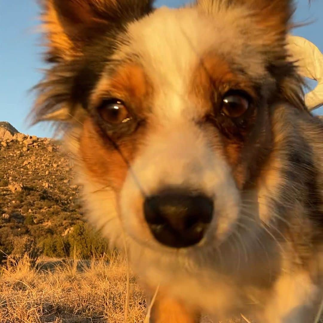 ホリー・ホルムさんのインスタグラム写真 - (ホリー・ホルムInstagram)「Adventures with a river. Sunset was bright tonight. #505 ❤️」11月6日 10時57分 - hollyholm