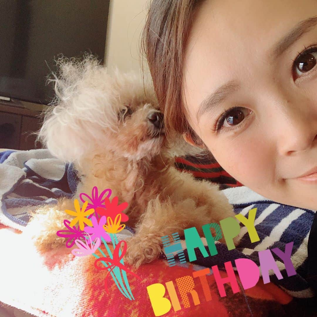 愛内里菜のインスタグラム：「パインちゃん🐻﻿ 今日11月6日で18歳だよー❤️❤️❤️❤️❤️❤️﻿ ﻿ パインちゃん大好きよー🐻💕 💕💕🥺﻿ ﻿ Twitter﻿ @RRikakakiuchi﻿ ﻿ アルバム「Ring」﻿ 各配信サイトよりリリース！﻿ ﻿ R/垣内りかオフィシャルHPより﻿ WEBショップがオープン　﻿ ﻿ ✨活動20周年記念✨﻿ 😆YouTube開始！チャンネル登録よろしくね😆﻿ 愛内里菜改め「R〜アール」オフィシャルチャンネル﻿ ﻿ ﻿ 😆TikTokも開始！フォローよろしくね😆﻿ R_愛内里菜﻿ https://www.tiktok.com/@r_aiuchirina_official﻿  ﻿ ﻿  #プードル　#愛犬　#家族 #ビゴライブ　#生配信﻿ #愛内里菜はRとして再始動﻿ #歌ってみた﻿ #Cover﻿ #弾いてみた﻿ #カラオケ﻿ #ライブ﻿ #愛内里菜 改め#R として #歌手 再始動﻿ #垣内りか #垣内倶楽部 #バンド #バンド名 ﻿ #ライブハウス #ライブ #一体化 #絆 #盛り上がりたい #会いたい﻿ #感謝 #リスタート #アニバーサリー#20周年﻿ #YouTube﻿ #ユーチューバー#TikTok﻿」