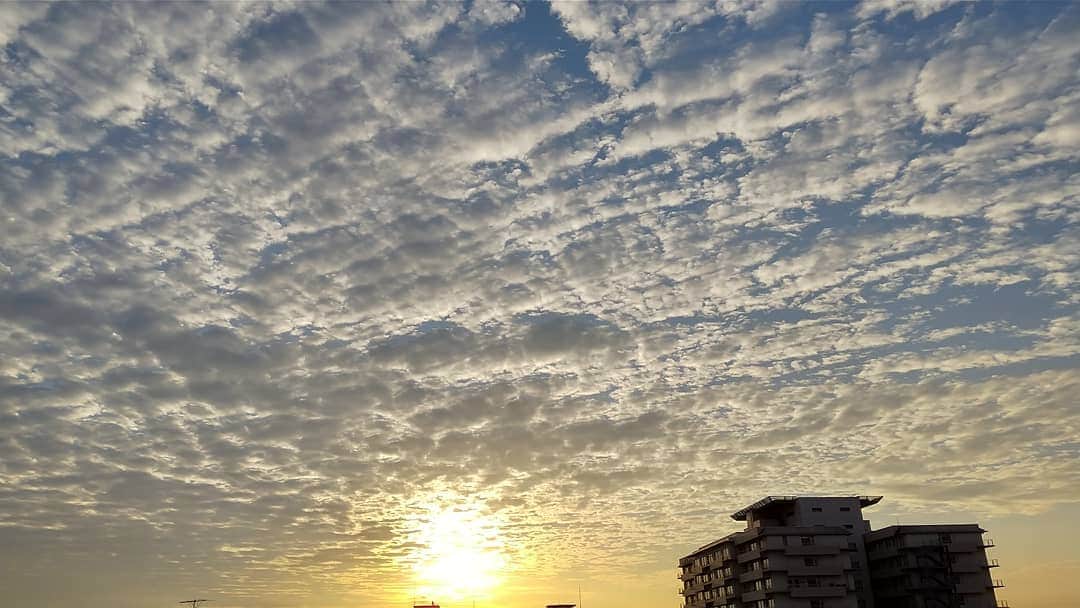 春山恵理さんのインスタグラム写真 - (春山恵理Instagram)「実は訳あって、ここ最近サバ雲を撮りたくて空を見張っているんですが、これはひつじ雲ですよね？ でも、今朝はきれいな朝空でした。  #あさそら #今朝の空  #朝日  #ひつじ雲  #高積雲 #空が好きな人と繋がりたい #空が好き #雲が好きな人と繋がりたい  #雲が好き  #自宅からの景色  #スマホ撮影」11月6日 11時51分 - haruyamaeri