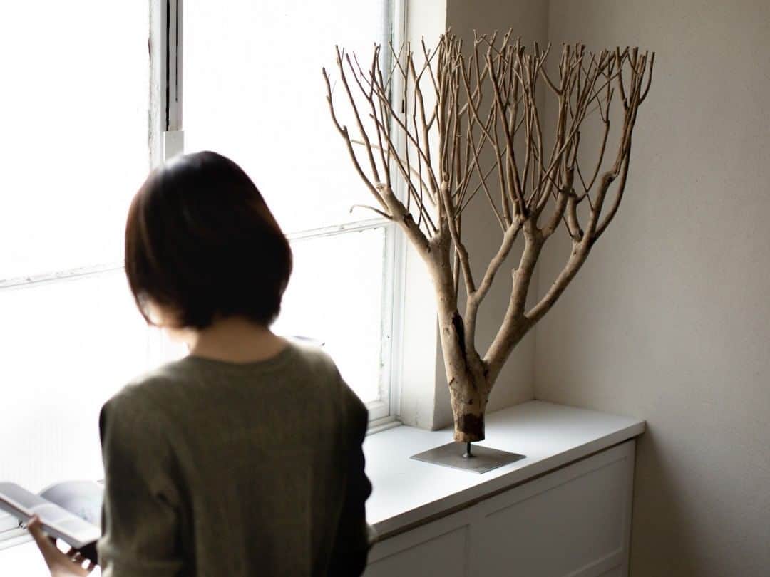 オルネ ド フォイユさんのインスタグラム写真 - (オルネ ド フォイユInstagram)「【再入荷｜スタイリッシュに “自然” を取り入れる】  人気の「ティープラント・オブジェ」が、本日夕方に入荷します！  これまでとは違う ”自然” の取り入れ方として、提案したいアイテム。  インパクトがありますが、自然の形を活かしたごくシンプルなオブジェなので、花やグリーンを飾る感覚で取り入れて欲しいです。案外どんなインテリアにも合わせやすいですよ。  コーディネートの仕方でいろいろな表情を見せてくれます。ギャラリーのような、ストイックな空間を演出するのにもぴったりです。  ●こちらの商品は、本日 11/6(金)夕方以降にWEBショップにて販売いたします。  ———————————————﻿  ◯WEBショップに関するお問い合わせ◯﻿  オルネ ド フォイユWEBショップ﻿  TEL：03-6876-7832　﻿  （午前10時～午後6時／土日祝定休） ﻿ e-mail：order@orne.co.jp  #植物のある暮らし #ドライフラワーインテリア #枝 #display #ディスプレイ #ディスプレイ什器 #デコレーション #デコレーションアイテム #ヴィンテージインテリア  #古材 #古道具 #プリミティブ #一点物 #インテリア #インテリアショップ #インテリア雑貨 #雑貨 #暮らしの道具 #リビングインテリア #海外インテリア #リノベーション #gallery #livstagrammer #暮らしを楽しむ #心地よい暮らし #丁寧な暮らし #ornedefeuilles #オルネドフォイユ」11月6日 12時00分 - ornedefeuilles
