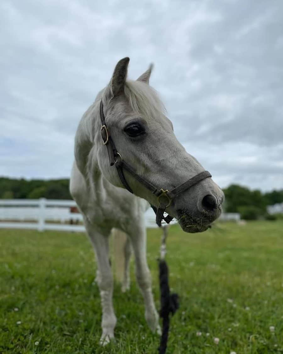 ブルックリー・ハンさんのインスタグラム写真 - (ブルックリー・ハンInstagram)「It’s officially 21 years for Fatboy the magical unicorn and myself. This past year has been exceptionally challenging as I haven’t gotten to see him in person (thanks Covid) but I feel so fortunate to have Kaylee, Keith, Lynda, Courtney and Mikaela and everyone else at Bradford looking out for him. 💕🦄💕」11月6日 4時40分 - brookleeh95