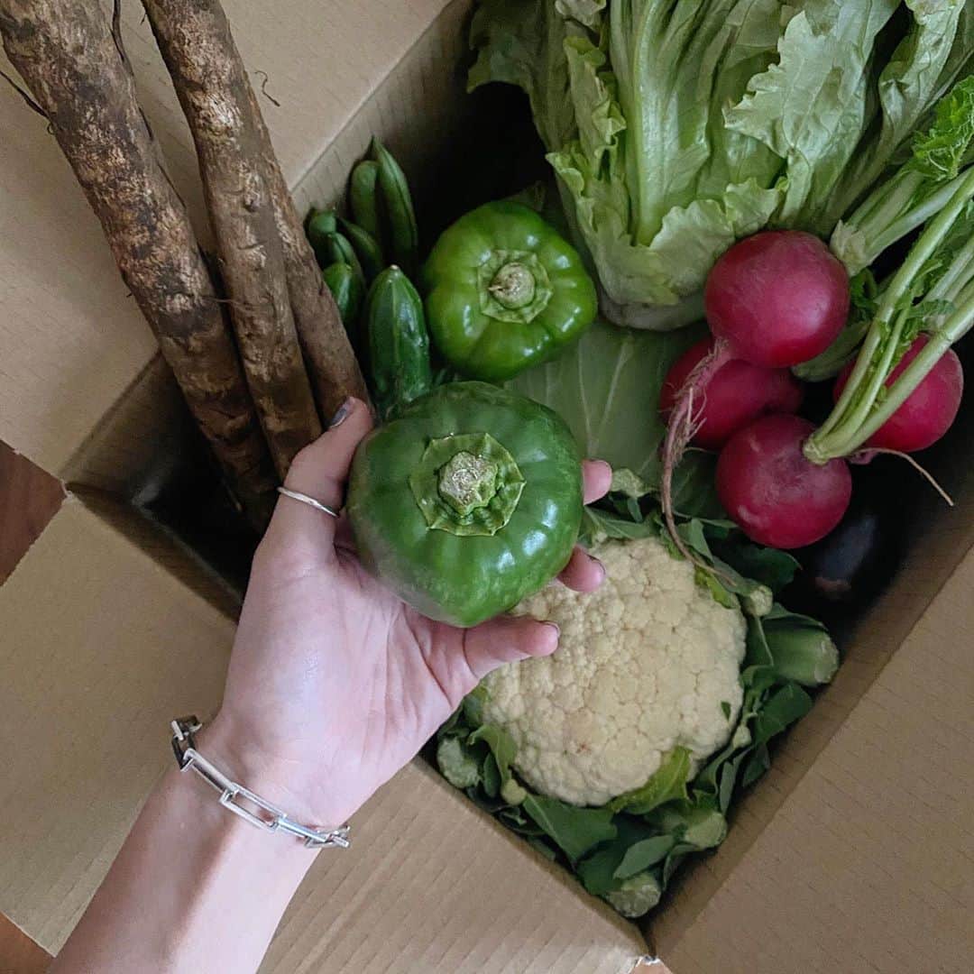 長谷川あやのインスタグラム：「🥒🥕🌽#OYAMARKET#野菜たっぷり#野菜生活#おうちごはん#栃木県 ・ ・ ・ 再投稿ごめんなさい😢 ・ 新鮮な野菜がたーーっぷり😍‼️ このお野菜達は OYAMARKET(おやまーけっと)さんの 野菜BOXなんです💛 ・ スーパーの帰り道 娘を抱えながら重い野菜を運ぶのは なかなか大変だな〜と思っていて、、、 最近はこの野菜BOXをおうちに 届けてもらっています✨ （こちらはLサイズ送料込みで2990円✌️） ・ 野菜ソムリエの方が厳選した 栃木県小山市の旬の野菜が届いて オリジナルのレシピもついているので 毎日献立考えるのが苦手な わたしにはとってもありがたい😌💭 珍しい野菜も入っていたりして 娘と名前おぼえたりしながら一緒に楽しんでいます✨ ・ 同じサイト内で『おとっぺ』という 小山豚おとんを使った ベーコンやソーセージもゲットできるので ぜひチェックしてみてください💛」
