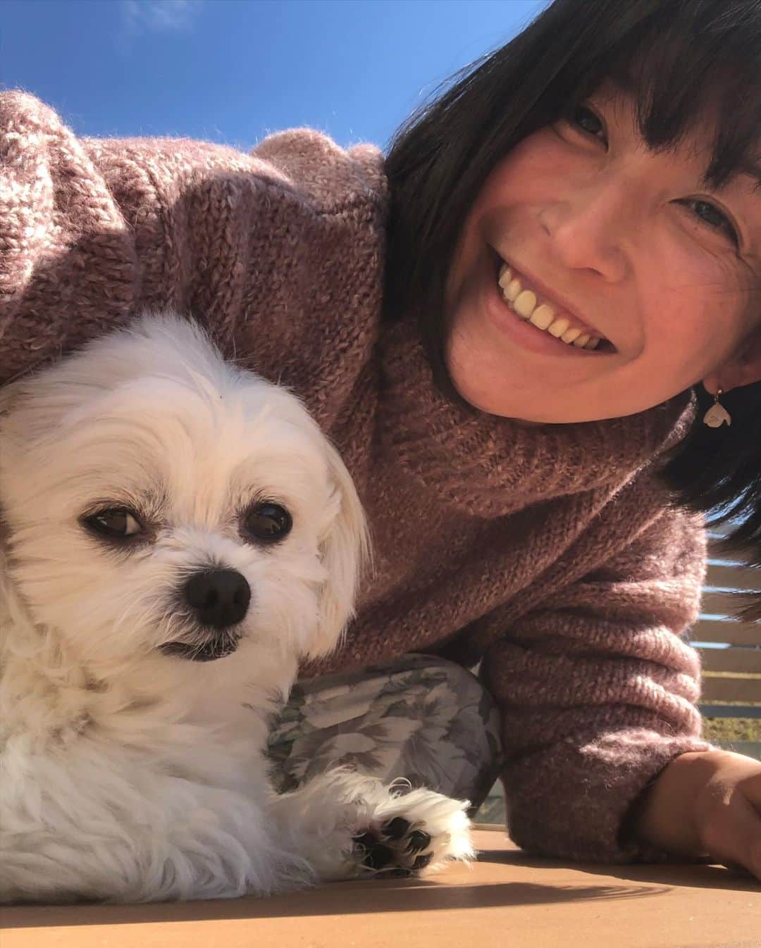 小野真弓さんのインスタグラム写真 - (小野真弓Instagram)「おはようございます☺️ ちょっと久しぶりのお休みです😆✨ ハナハルpower充電中🔋🐶🐶⚡️ ごろごろごろごろー( ´ ▽ ` )🌞 ほっぺがあったかい😪 今日も良い一日を🌈 #チワワ#ハナちゃん #チワマル#ハルくん#もっけもけ #いぬすたぐらむ #いぬばか部 #chihuahua#maltese#mixdog#doglover #dogstagram #ごろごろ家族#早起き家族#犬のいる暮らし#千葉暮らし 昨日の仕事終わりに見た富士山🗻at 鎌倉市 遠くからでも、富士山は偉大だ✨(*´꒳`*)」11月6日 6時35分 - hanaharuaroi