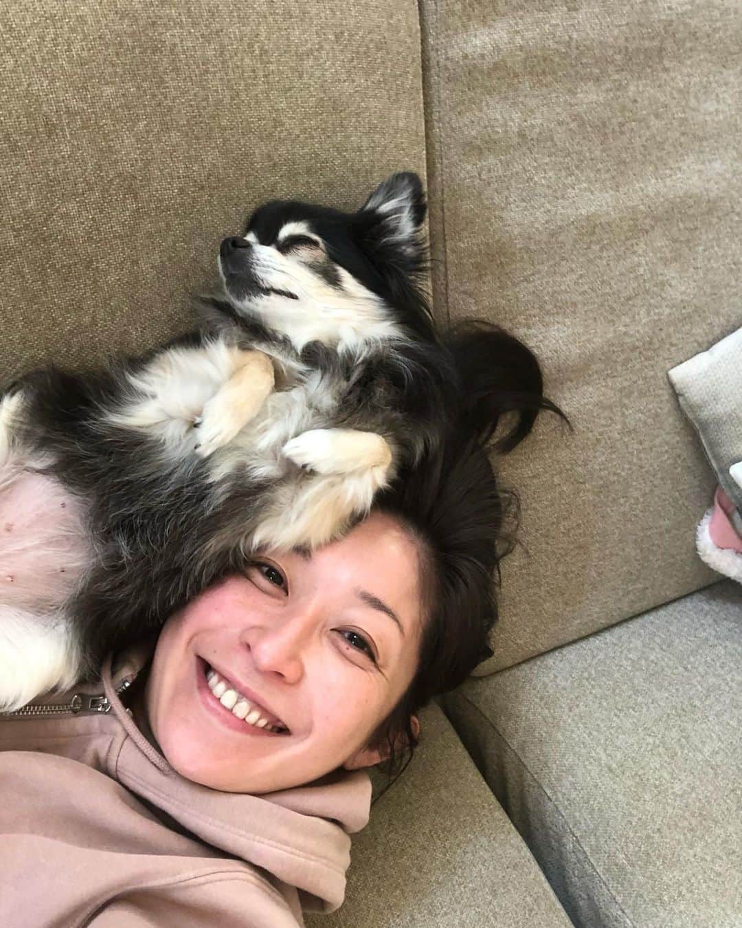 小野真弓さんのインスタグラム写真 - (小野真弓Instagram)「おはようございます☺️ ちょっと久しぶりのお休みです😆✨ ハナハルpower充電中🔋🐶🐶⚡️ ごろごろごろごろー( ´ ▽ ` )🌞 ほっぺがあったかい😪 今日も良い一日を🌈 #チワワ#ハナちゃん #チワマル#ハルくん#もっけもけ #いぬすたぐらむ #いぬばか部 #chihuahua#maltese#mixdog#doglover #dogstagram #ごろごろ家族#早起き家族#犬のいる暮らし#千葉暮らし 昨日の仕事終わりに見た富士山🗻at 鎌倉市 遠くからでも、富士山は偉大だ✨(*´꒳`*)」11月6日 6時35分 - hanaharuaroi