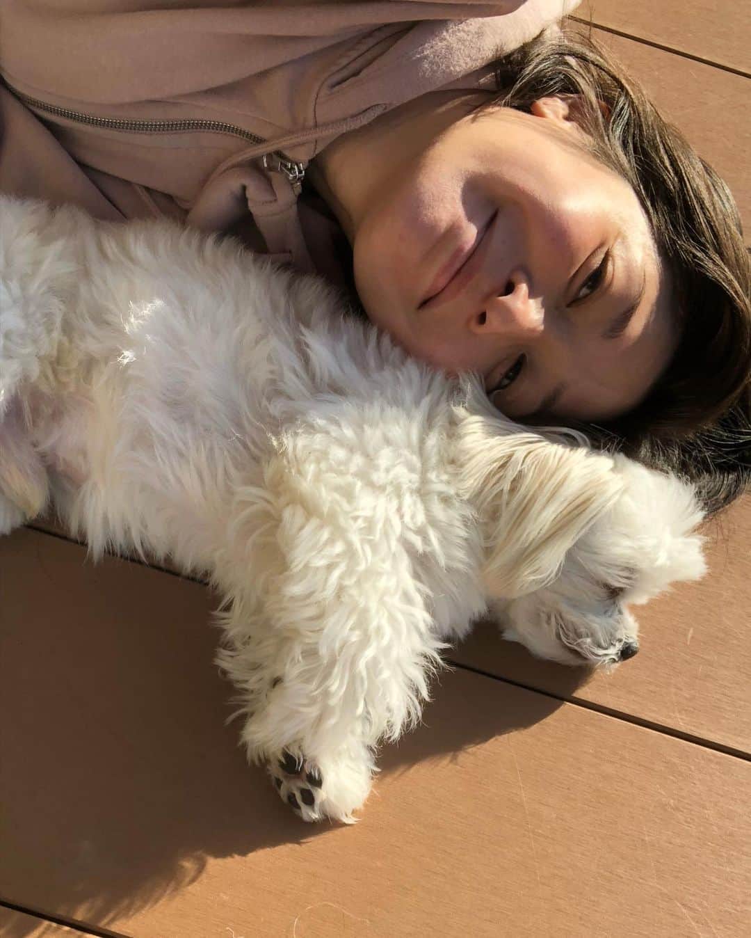 小野真弓さんのインスタグラム写真 - (小野真弓Instagram)「おはようございます☺️ ちょっと久しぶりのお休みです😆✨ ハナハルpower充電中🔋🐶🐶⚡️ ごろごろごろごろー( ´ ▽ ` )🌞 ほっぺがあったかい😪 今日も良い一日を🌈 #チワワ#ハナちゃん #チワマル#ハルくん#もっけもけ #いぬすたぐらむ #いぬばか部 #chihuahua#maltese#mixdog#doglover #dogstagram #ごろごろ家族#早起き家族#犬のいる暮らし#千葉暮らし 昨日の仕事終わりに見た富士山🗻at 鎌倉市 遠くからでも、富士山は偉大だ✨(*´꒳`*)」11月6日 6時35分 - hanaharuaroi