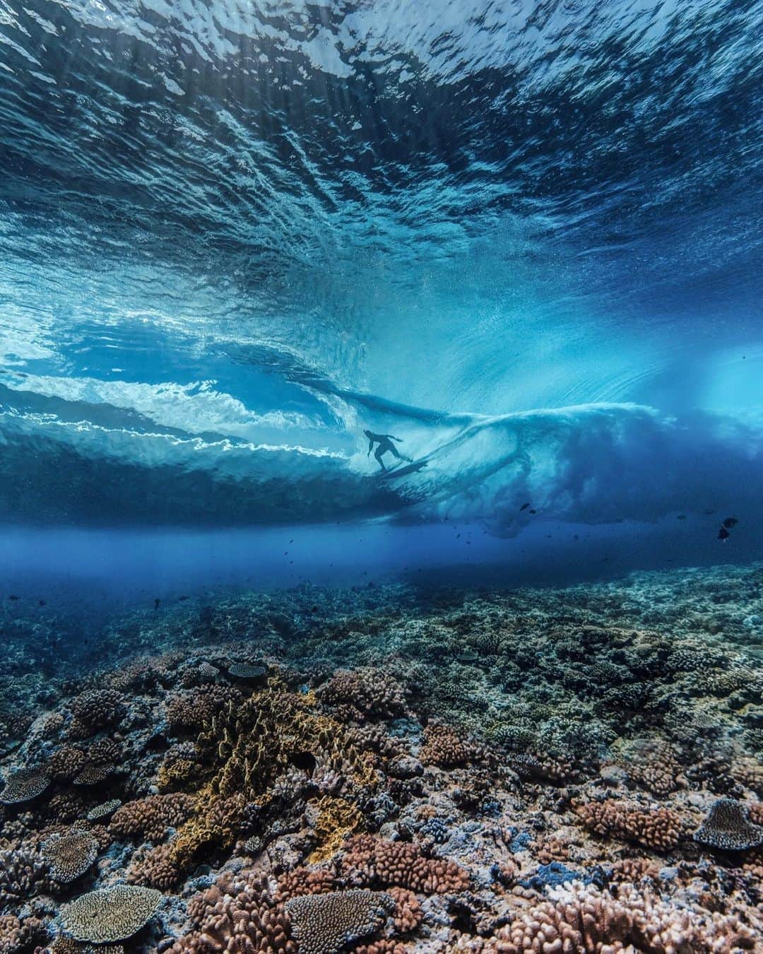ミシェル・ボレーズのインスタグラム：「Best view you can get . @timmckenna knows how to get the best seats at Teahupo’o 😁👍🏽」