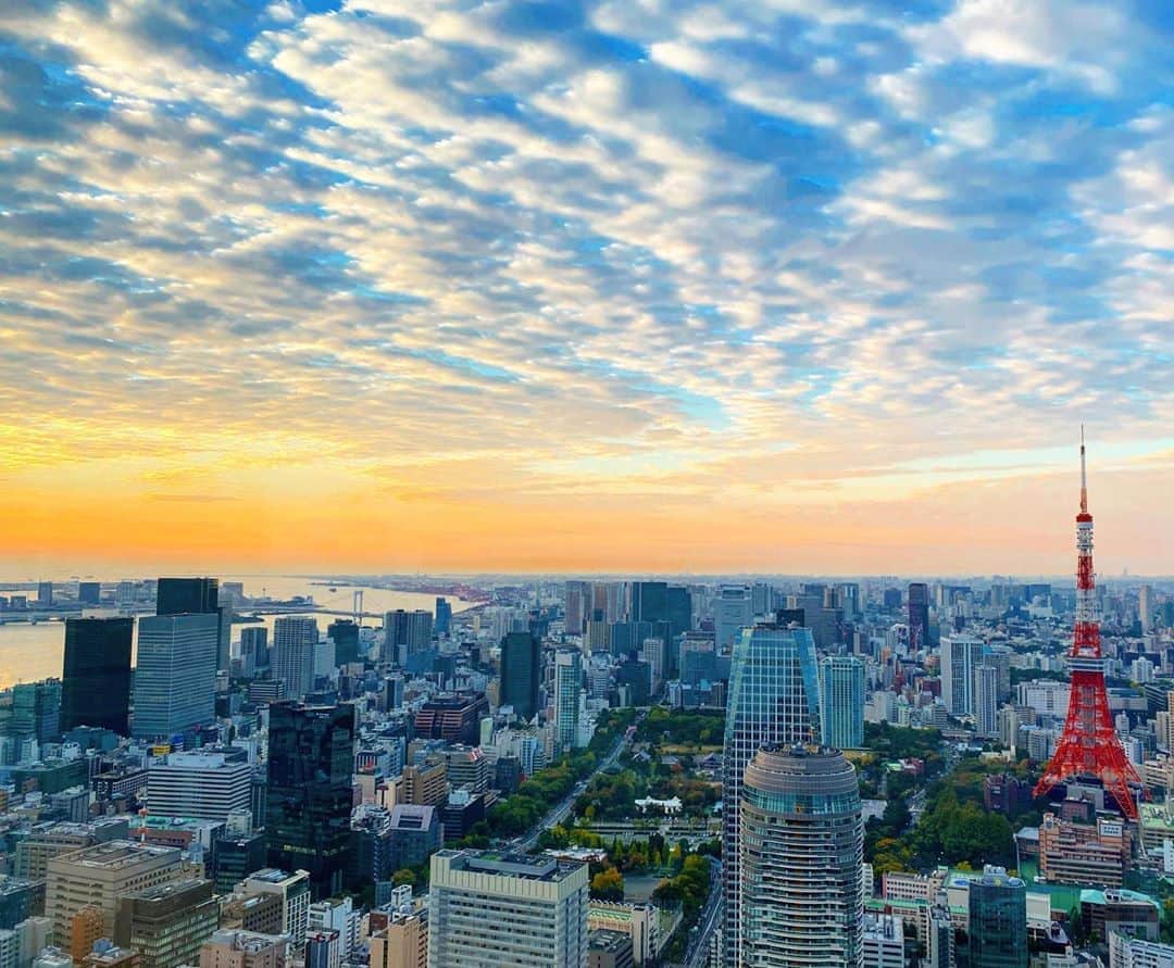 マキ・コニクソンさんのインスタグラム写真 - (マキ・コニクソンInstagram)「Good morning from Tokyo!! 今朝の東京の空は雲がとーっても綺麗！✨ ハワイの朝も好きだけど東京の朝も好き！❤️  アメリカは🇺🇸大統領選挙で揉めに揉めてるーっ。💦 一体どちらが大統領になるんだろうね。🤔  今日も自分らしく人に流されないで アロハッピーな一日を過ごそうね！😊  笑顔で元気に行ってらっしゃい！👋🏼 Happy Aloha Friday!!   #エア🇯🇵 #I❤️🇯🇵 #自分は自分」11月6日 6時40分 - makikonikson