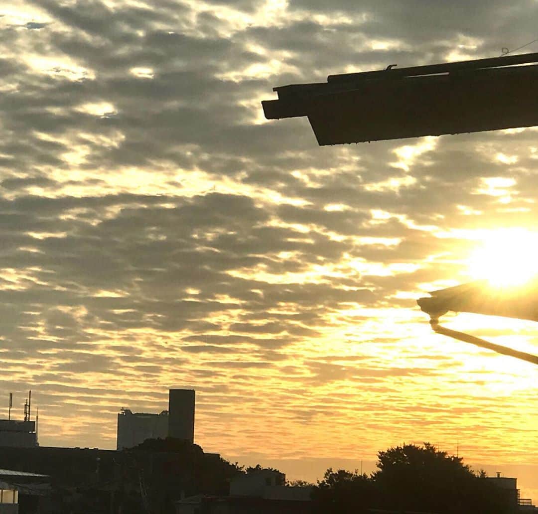 土屋眞弓のインスタグラム：「6時30分 この時間だと太陽はこの位置 残念なのはお隣さんの屋根 遠く〜に東京タワー🗼 違う景色の日の出に憧れる毎朝😅  おはようございます☀ 今日も良い一日を❣️  #sunrise  #goodmorning  #goodday」