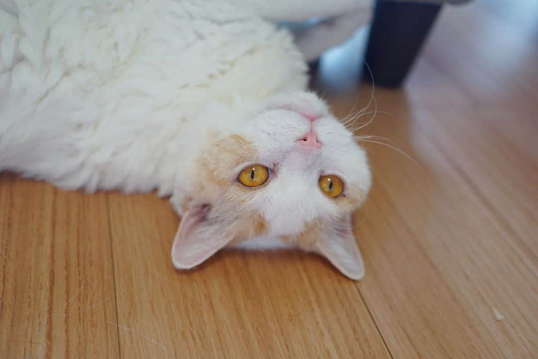 みかんのインスタグラム