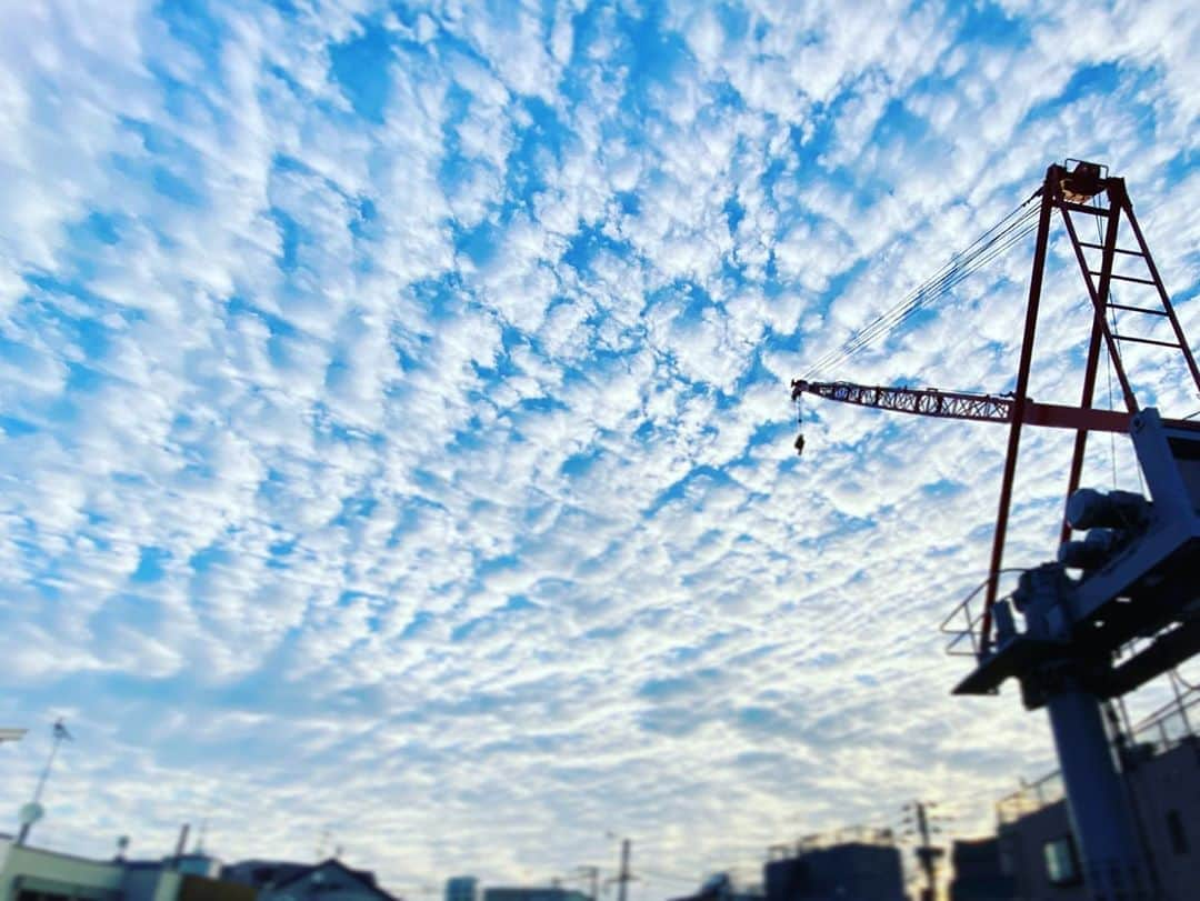 広崎うらんさんのインスタグラム写真 - (広崎うらんInstagram)「朝雲のキルティング  #朝 #雲」11月6日 7時02分 - uranhirosaki