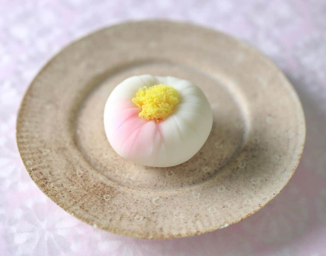 Toru Tsuchieさんのインスタグラム写真 - (Toru TsuchieInstagram)「今日の和菓子はねりきりで作った #山茶花 です。 ねりきりとは白餡に餅や芋を混ぜて作った和菓子で 茶道 で使われる「主菓子」の一種です。 撮影用に制作しました。  実は昨日、顔のシミをレーザー治療してもらいました。 あとでブログに写真載せますが おっさんのシミの画像など見たくないという方は見なくていいですし 怖いもの見たさで見たい人は見てください。 ちょっと検討してるという方も見てみてください。 完治するまでたまに状況を報告したいと思います。  フェイスブックページのいいね！もよろしくお願いします。 https://www.facebook.com/shishisu/ I would like a job request from you. Today's wagashi is #Sasanqua with Nerikiri. The Nerikiri is the material of wagashi made by mixing the rice cake and yam in white bean. Is a kind of "Jounamagashi" as used in the tea ceremony. The sweets I've made for the shooting. #福泉堂  #和菓子  #出雲 #レーザー #花 #お菓子 #冬 #美肌 #アルバイト募集 #ブログはじめました #茶花 #blog」11月6日 7時44分 - choppe_tt