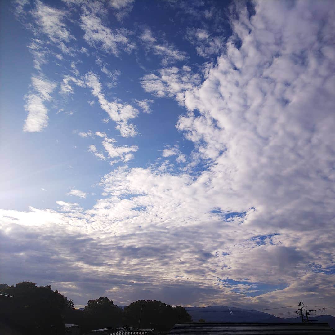 みながわゆみさんのインスタグラム写真 - (みながわゆみInstagram)「#おはようございます #今日も素敵な一日を #いまそら #イマソラ #青空 #雲 #我が家のベランダからの眺め」11月6日 7時48分 - nama.09.19