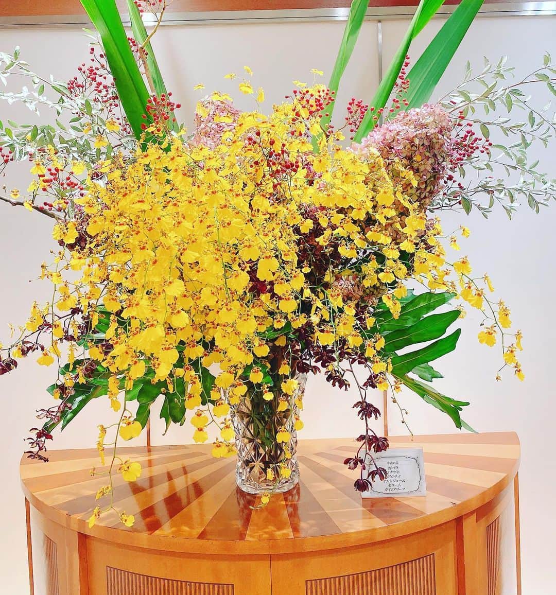 三浦泉のグルメインスタ