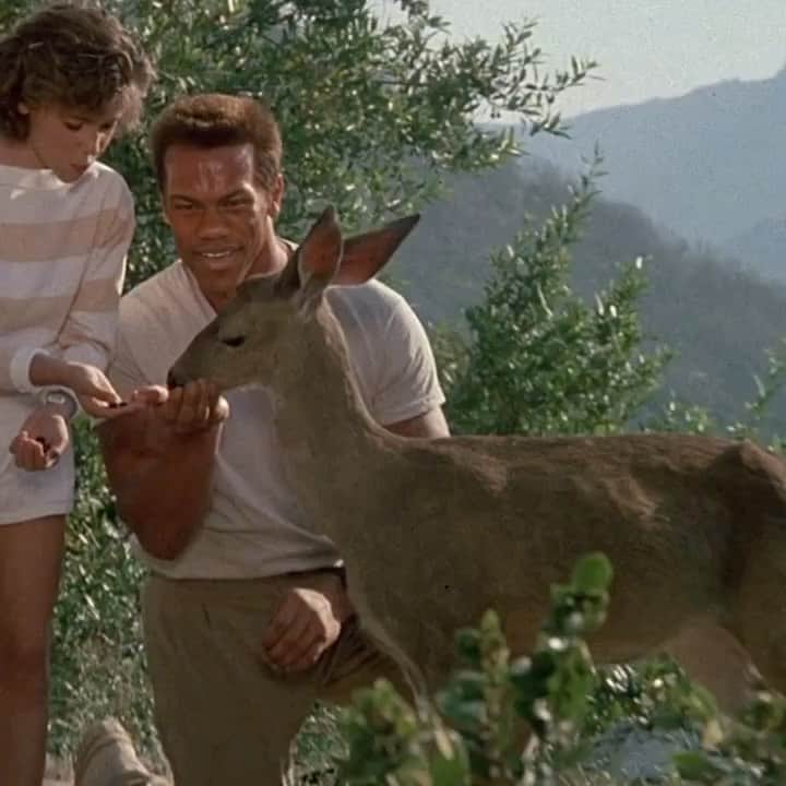 Phil Heathのインスタグラム：「Remember that time I played in Commando?! Neither do I! 😂 haha enjoy the laugh because with everything going on in the world I think we all need it. #Live #Love #Laugh #Tbt #AllCapButWhoCares」