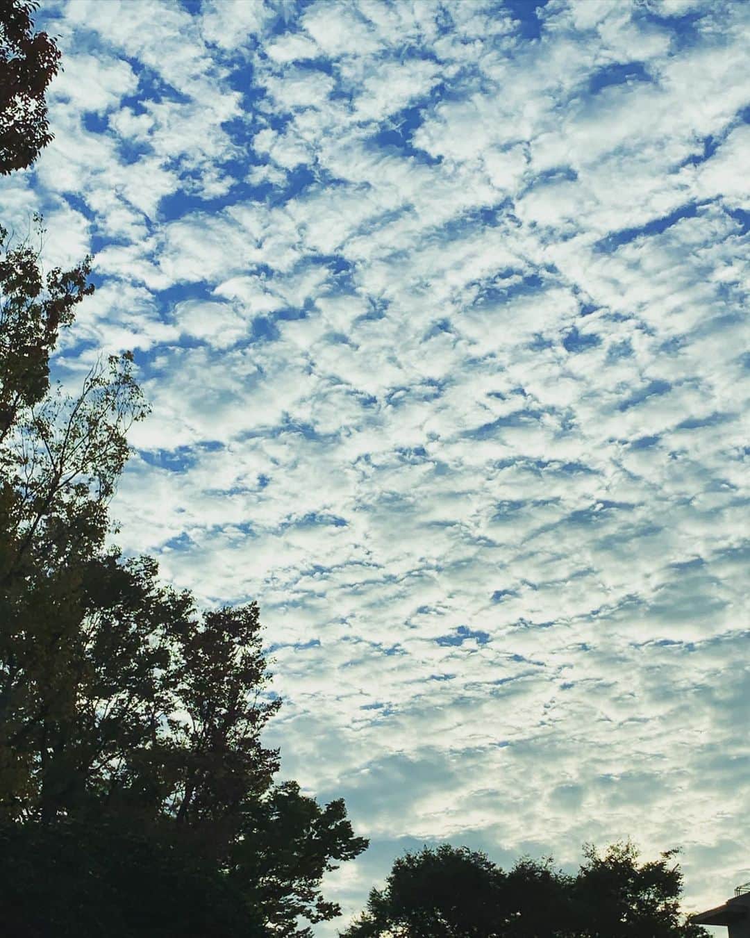 前川泰之さんのインスタグラム写真 - (前川泰之Instagram)「朝の雲が見事だった✨  さ、今日も行ってきます！良い週末を^_^  #朝の空　#うろこ雲　#良い週末を」11月6日 8時16分 - maekawa_yasuyuki_official