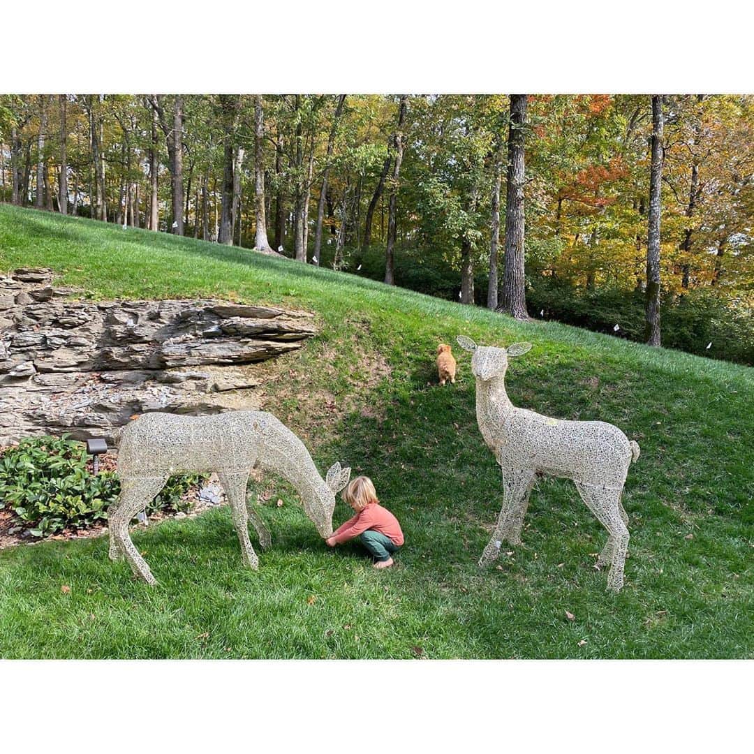 ジェシー・ベイリンのインスタグラム：「puppies, children & mother nature - best medicine for madness.」