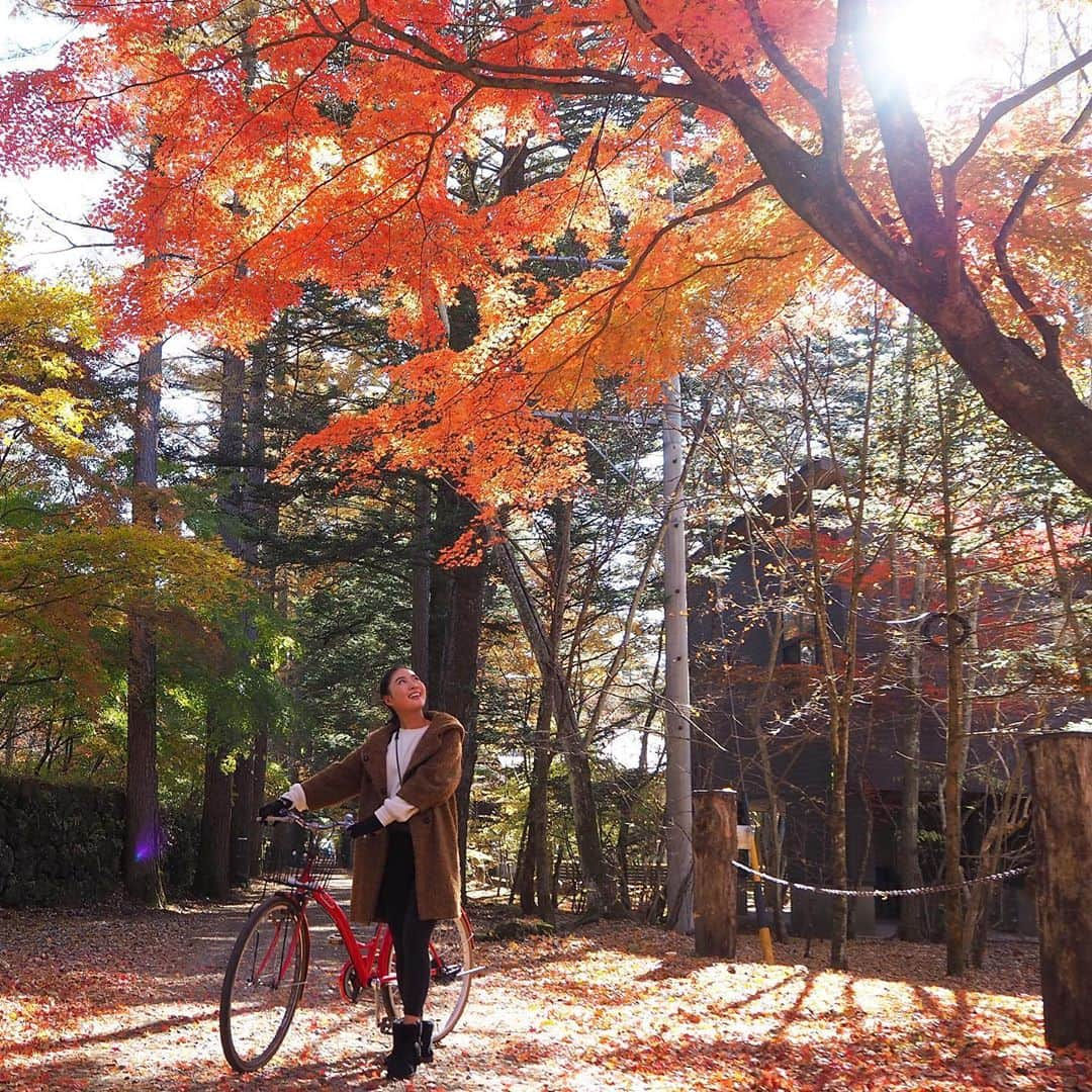 角田聖奈さんのインスタグラム写真 - (角田聖奈Instagram)「🍁🍄🚴‍♀️💨💨 インスタグラムと現実😂 #暴走族 #自転車 #サイクリング #F1 #truth #紅葉 #自然 #軽井沢 #旧軽井沢 #長野 #日本 #国内旅行 #誕生日旅行 #レギンスコーデ  #instagramvsreality」11月6日 8時45分 - seina1105