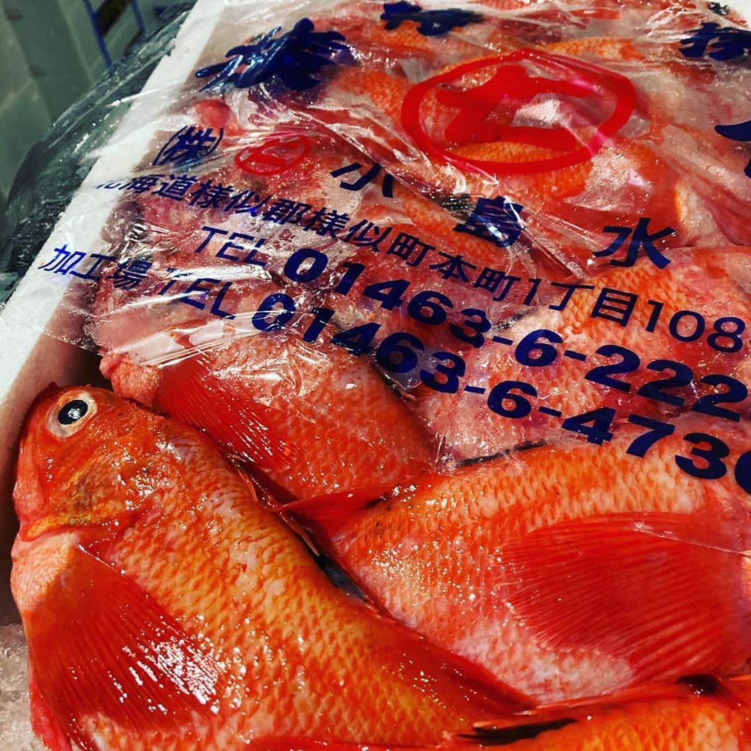 のインスタグラム：「11月最初の金曜日 本日も旨い鮮魚買い揃えました！ 一押しは北海道産のキンキ和食全店少しずつですが仕入れて見ました！ 煮付けで1980円！ その他有ればラッキーメニューは富山白エビの唐揚げはどんなお酒にもピッタリ 地ハマグリは天ぷらで是非召し上がって下さい 兵庫の牡蠣も他県に比べると個人的には旨味甘味を感じれて食べやすくオススメです  ほとんどのお店がお昼から営業致しております。金曜日のお食事や飲みのご予定は是非魚金で  仕入部　片之坂 #まぐろ#新橋#玉子#居酒屋#銀座#京橋#マグロ#海鮮丼#刺身#吉祥寺#オイスター#秋#ビール#ひやおろし#刺身盛り合わせ#カツオ#渋谷#魚好きと繋がりたい #レモンサワー#台風#神楽坂#横浜グルメ#飲酒タグラム#たまご#日本酒好きな人と繋がりたい #クラフトビール#お寿司#おでん#yummy」
