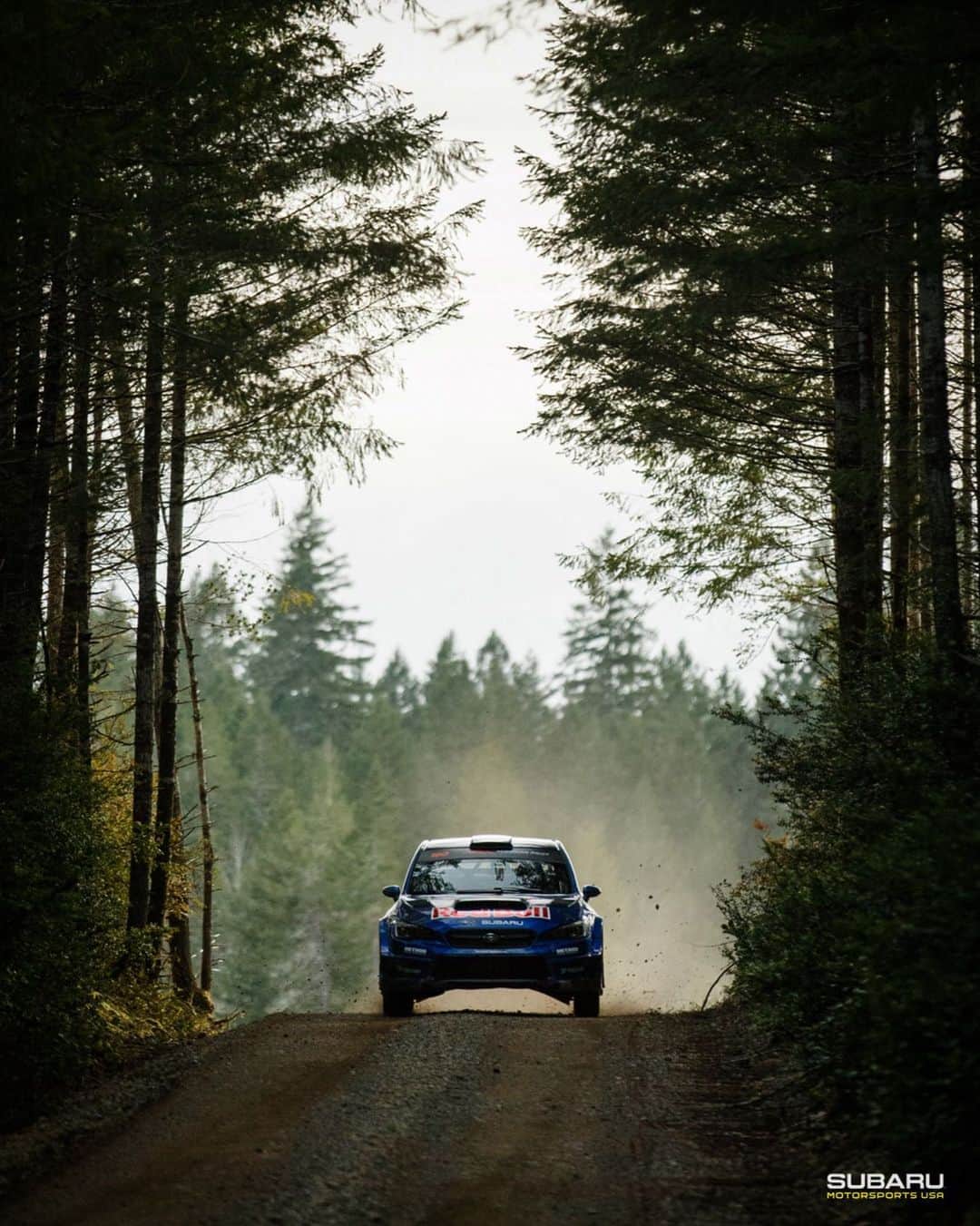 Subaru Rally Team USAさんのインスタグラム写真 - (Subaru Rally Team USAInstagram)「#OlympusRally next!! 💪💪💪   @brandonsemenuk @john55sp @olympusrally @ara_rally #ARA_Rally 📸: @lusciousy」11月6日 9時16分 - subarumotorsportsusa