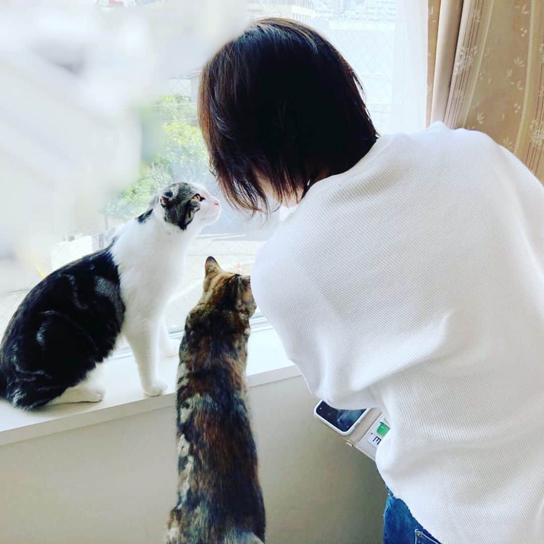 石原詢子のインスタグラム