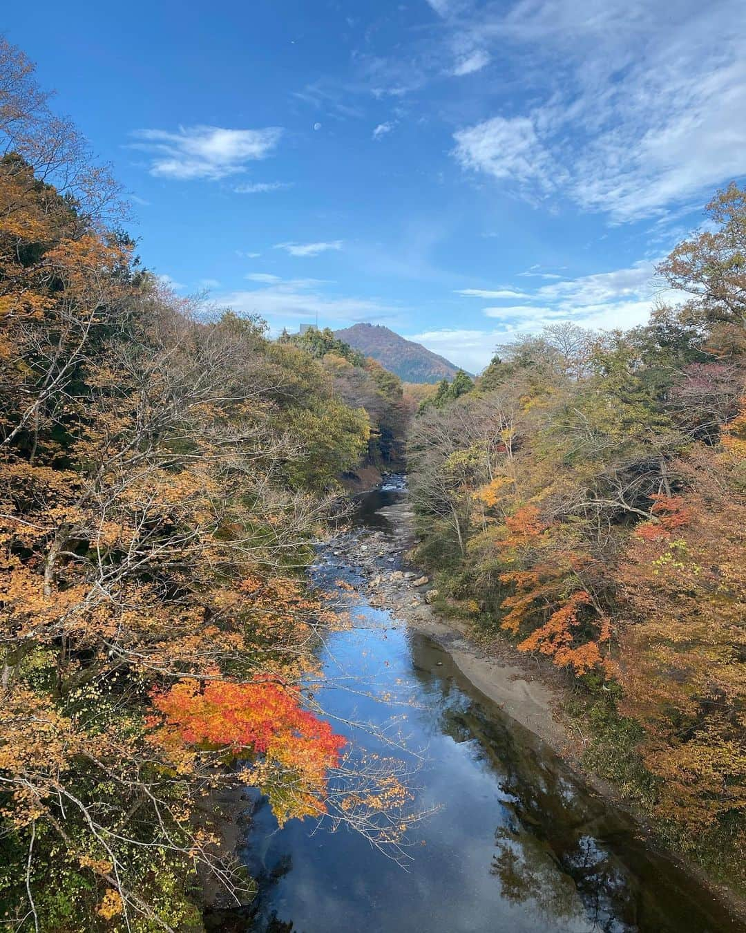 せたこさんのインスタグラム写真 - (せたこInstagram)「空が川を鏡代わりにしてる 左下がお気に入り🍁  #おやま #さみちゃん」11月6日 9時31分 - setako