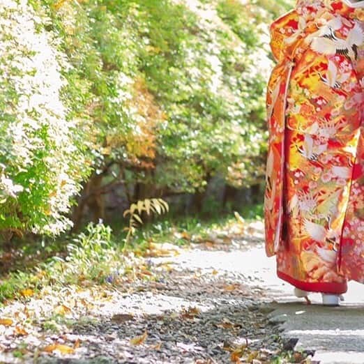 結婚式場 ヒルズスィーツ宇都宮ブリーズテラスのグルメインスタ