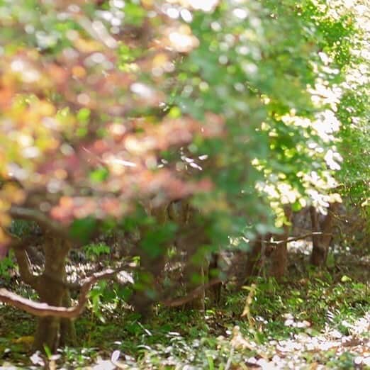 結婚式場 ヒルズスィーツ宇都宮ブリーズテラスのグルメインスタ