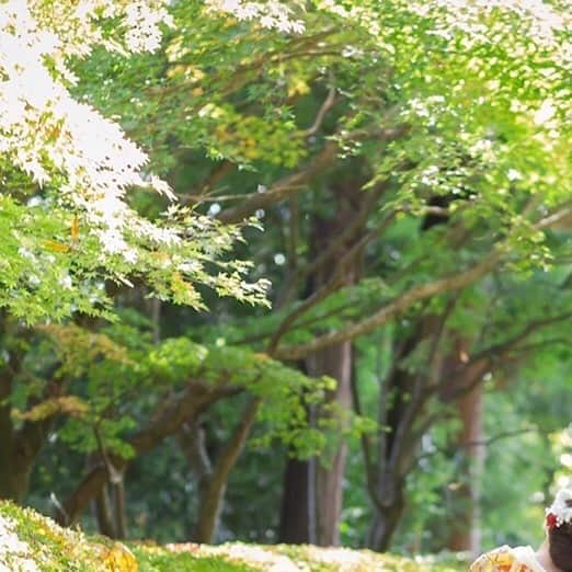 結婚式場 ヒルズスィーツ宇都宮ブリーズテラスのグルメインスタ