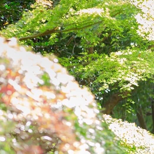 結婚式場 ヒルズスィーツ宇都宮ブリーズテラスのグルメインスタ