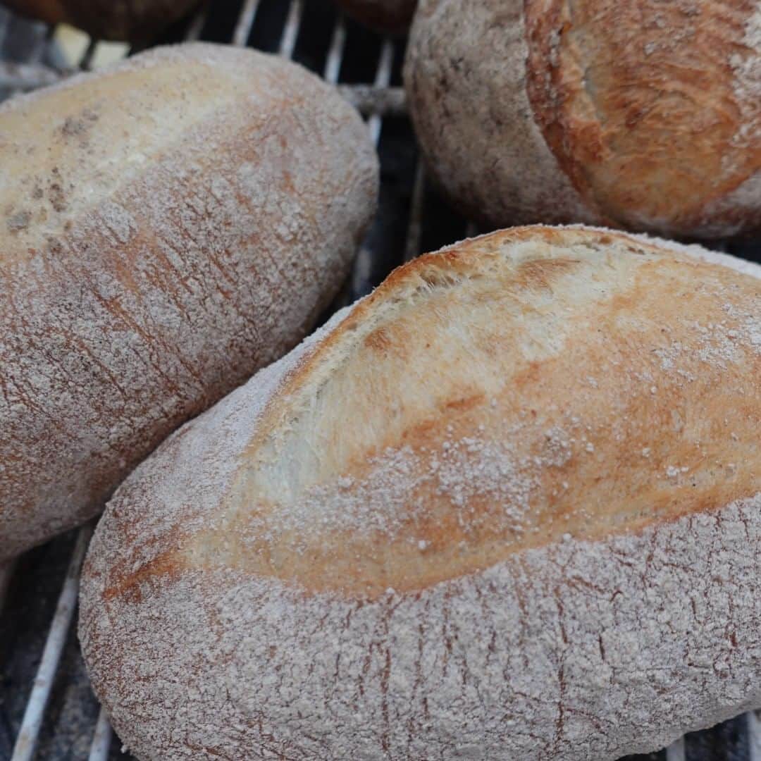 魔女菅原のグルメインスタ