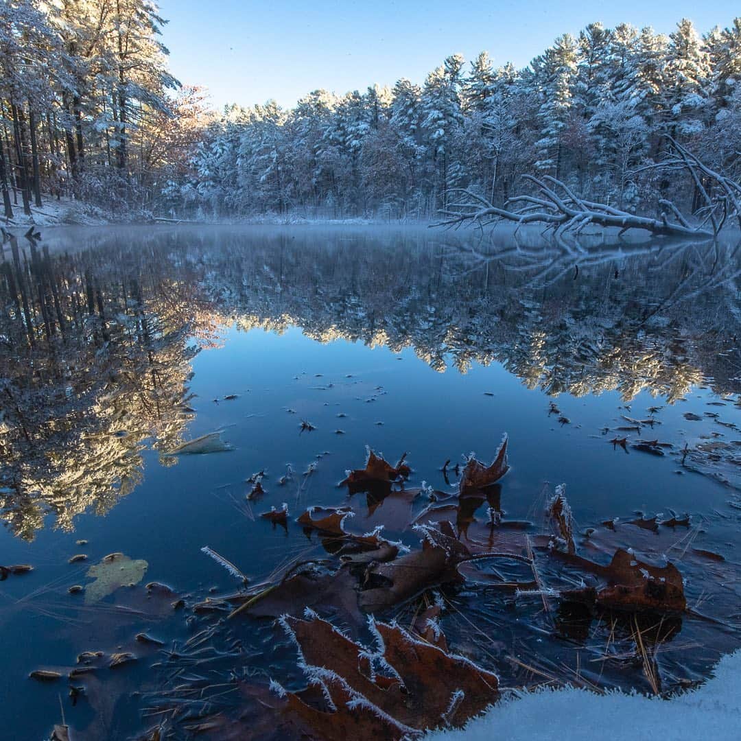 Tim Lamanさんのインスタグラム写真 - (Tim LamanInstagram)「Photos by @TimLaman.  Seems we need a little more #NatureTherapy for the long wait… - Last weekend’s unusual October snowstorm here in Massachusetts created some beautiful local landscapes I’d like to share.  Check my feed @TimLaman to see the full pano of this image.  This is the same location as the previous triptych with the fall colors and beaver lodge, but only two days later. - Swipe to see “Reflective Morning”  after then storm, when the day broke clear and calm with perfect reflections in the pond, and frost on the oak leaves. - #nature #NewEngland #fall #autumn #snow」11月6日 10時34分 - timlaman