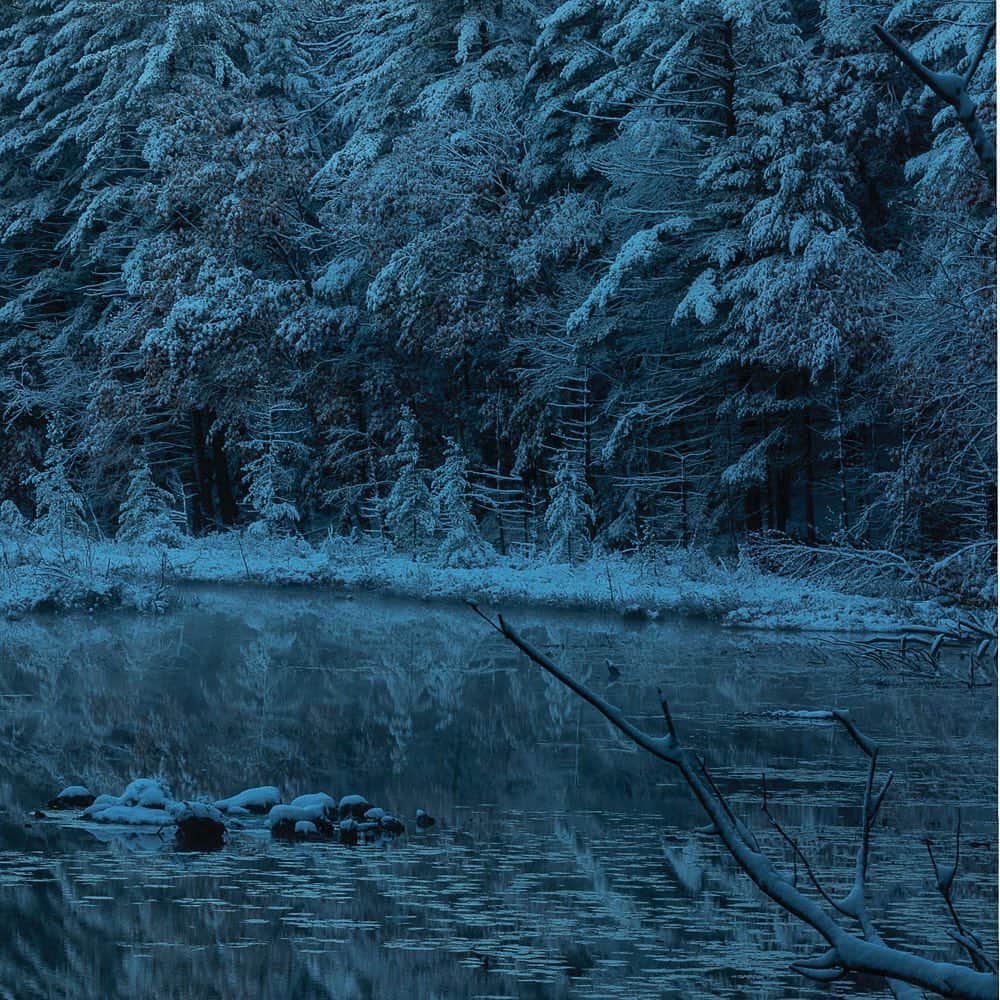 Tim Lamanさんのインスタグラム写真 - (Tim LamanInstagram)「Photos by @TimLaman.  Seems we need a little more #NatureTherapy for the long wait… - Last weekend’s unusual October snowstorm here in Massachusetts created some beautiful local landscapes I’d like to share.  Swipe slowly to see the full pano of this image made as the first sun hit the treetops.  This is the same location as the previous triptych on my feed @TimLaman with the fall colors and beaver lodge, only two days later.  You can tell the beavers are home in their lodge because their escaping body heat has melted the snow on top. - #Nature #wintersunrise #firstsnow #reflections #NewEngland」11月6日 10時36分 - timlaman