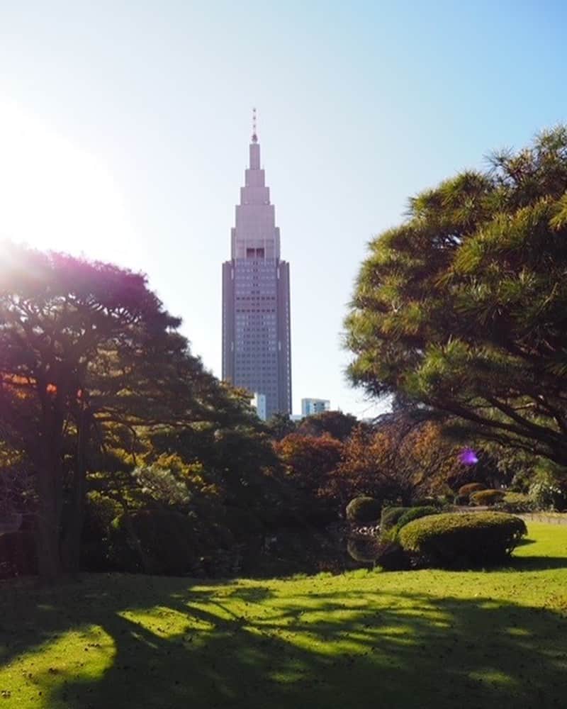ホテルウィングインターナショナルプレミアム東京四谷さんのインスタグラム写真 - (ホテルウィングインターナショナルプレミアム東京四谷Instagram)「.  私は先日、新宿御苑へ行ってきました‼︎  11月になり日に日に寒くなってきましたが、この日はとても天気が良く気持ちもぽかぽかあたたかくなりました。  紅葉の季節のため、木々が赤く色づいておりとてもきれいでした。特にバラ一色の場所があり、いろいろな種類、またそれぞれ香りも違うのでとても華やかな時間を過ごすことができました。  新宿御苑の中には、休憩所があり、そこでは抹茶ソフトクリームとわらび餅をいただきました。意外と気づけばたくさん歩いていたので、途中での甘いものは身体に染みてとてもおいしかったです。  当ホテルからは徒歩5分でございますので、ぜひ一度訪れてみてはいかがでしょうか。  #ホテルウィングプレミアム東京四谷 #ホテルウィング東京四谷 #hotelwinginternationalpremiumtokyoyotsuya  #新宿御苑 #紅葉 #バラ #池 #olympus  #ぽかぽか陽気の気持ちいい休日」11月6日 10時43分 - hotelwing_premium_tokyoyotsuya