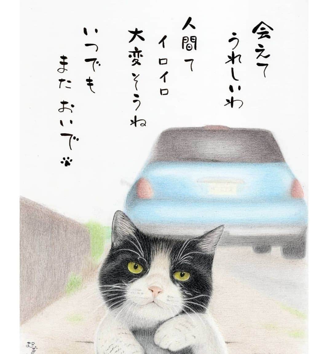 路地裏のにゃん吉さんのインスタグラム写真 - (路地裏のにゃん吉Instagram)「#Repost ☆またおいで☆  @mugi.ten さんがチョロを絵にしてくれました。  ありがとうめっちゃ嬉しい🙌 本当に人間はイロイロ大変で、癒やし求めてこの子達に会いに行ってる。  猫展に参加されるようです。 是非訪問してみて下さい 👍@mugi.ten  ☆またおいで☆ 🐾 🐾 猫展のラストの絵 なんとか完成しました😀  皆さんの幸せな家猫さんを 描かせて頂いていますが こちらは幸せな野良猫さんの チョロちゃんです😸💕  @project_cubic  @yokohamanokoara @kuromameta.and @drawing_hachi_the_cat @hariko.578mento @ichigo212121 @atelierpopoki @smile.j.y.r.c @tetsuya.hiratsuka_t3 @aami_artmix  · #にゃんのつぶやき #猫なので深い事はつぶやけません🐾 #猫絵 #色鉛筆画  #catillustration #紙と画材の旅  📝ケント紙カリスマカラー #猫展  #もうちょっとだけ猫でいよう  #もう一寸だけ猫でいよう  #学芸大学駅カフェ  #キュービック  #猫のいる暮らし  #ねこすたぐらむ  #ねこのきもち  #いつもありがとにゃら」11月6日 21時36分 - nyankichi5656