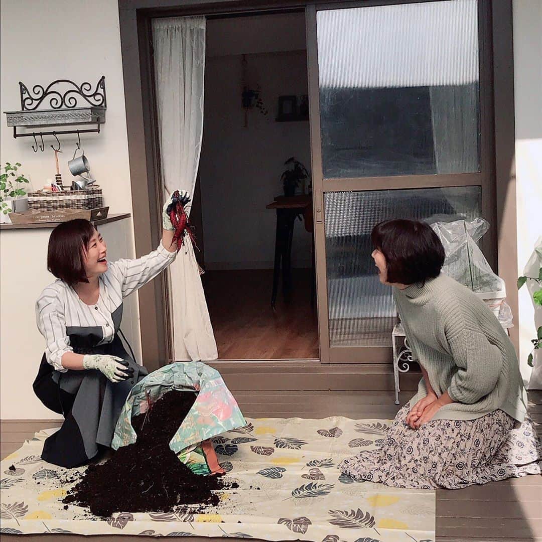 のインスタグラム：「次回のやさいの時間📺は 赤タマネギを育てます。 なんと！！ 野菜用培養土の袋で育てたサツマイモを収穫しました🍠 畑がなくてもベランダや軒下 そしてお部屋の中でも お野菜は作れるのだ💕😍  11月8日（日）8:00〜8:25 NHK-Eテレ 「趣味の園芸 やさいの時間」📺  #やさいの時間#プランター菜園#TV #深町貴子 さんと💕 #笑っぱなしの時間#笑 #家庭菜園 が #こんなに癒しの時間になるなんて♡ #たくさんの人に伝えたい！！」