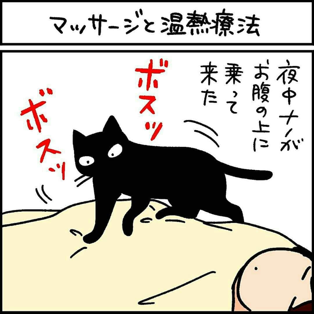 猫壱（ねこいち•ネコイチ）さんのインスタグラム写真 - (猫壱（ねこいち•ネコイチ）Instagram)「【#猫マンガ 】 ▫ ナノちゃん療法 ▫ ▫ #猫あるある #ナノちゃんクリニック開院して欲しいかも😁❤  ▫ ▫ :::::::::#猫壱 ::::::: 猫壱は猫と人との暮らしの向上を目指して猫グッズの開発に取り組んでいます♪ ▫ 気になる方は @necoichicojp をチェックしてみてくださいね！ ▫ ▫ 【Special thank-you @86palpal 💕💕💕💕】」11月6日 20時24分 - necoichicojp