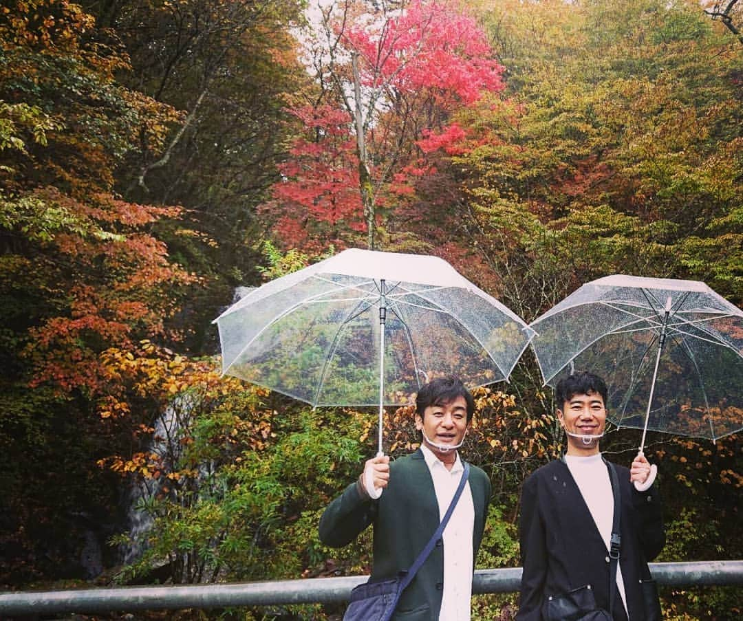 テレビ東京「土曜スペシャル」さんのインスタグラム写真 - (テレビ東京「土曜スペシャル」Instagram)「#紅葉🍁 と#滝 #絶景  #最高 🎵 #片岡愛之助 ＆ #藤井隆 が  #栃木 で #ドライブ旅🎶🚗💨🎶  #愛之助 さん が星★5つ!!! を つけた名漠での一枚ですが  滝が小さすぎてスミマセン😣💦⤵️   映像では圧巻の滝をご覧頂けると思います！  どうぞお楽しみに🎵   明日11/7(土)夜6:30～  #いい旅夢気分 紅葉2020 2時間半スペシャル！  #黒崎 節 にもご期待ください！    #片岡愛之助  #藤井隆  #栃木観光  #鬼怒川  #那須高原  #テレ東  #紅葉スポット  #雲海  #奇跡  #最高」11月6日 20時36分 - tvtokyo_dosupe