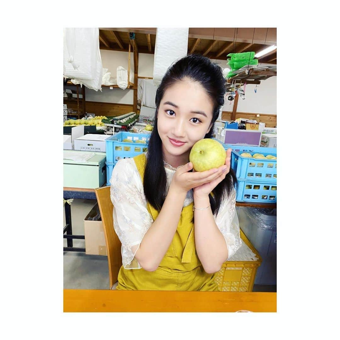 天翔愛さんのインスタグラム写真 - (天翔愛Instagram)「梨美味しかった➰😋🍐﻿ ﻿ ﻿ #ええトコ﻿ #NHK﻿ #梨好きなんです﻿ #梨﻿ #来年またね　^ ^👋﻿ #美味しかったヨ﻿ #農家の皆さんありがとう﻿ #京都﻿ #京丹後市﻿ ﻿」11月6日 20時48分 - ai_tensho_official