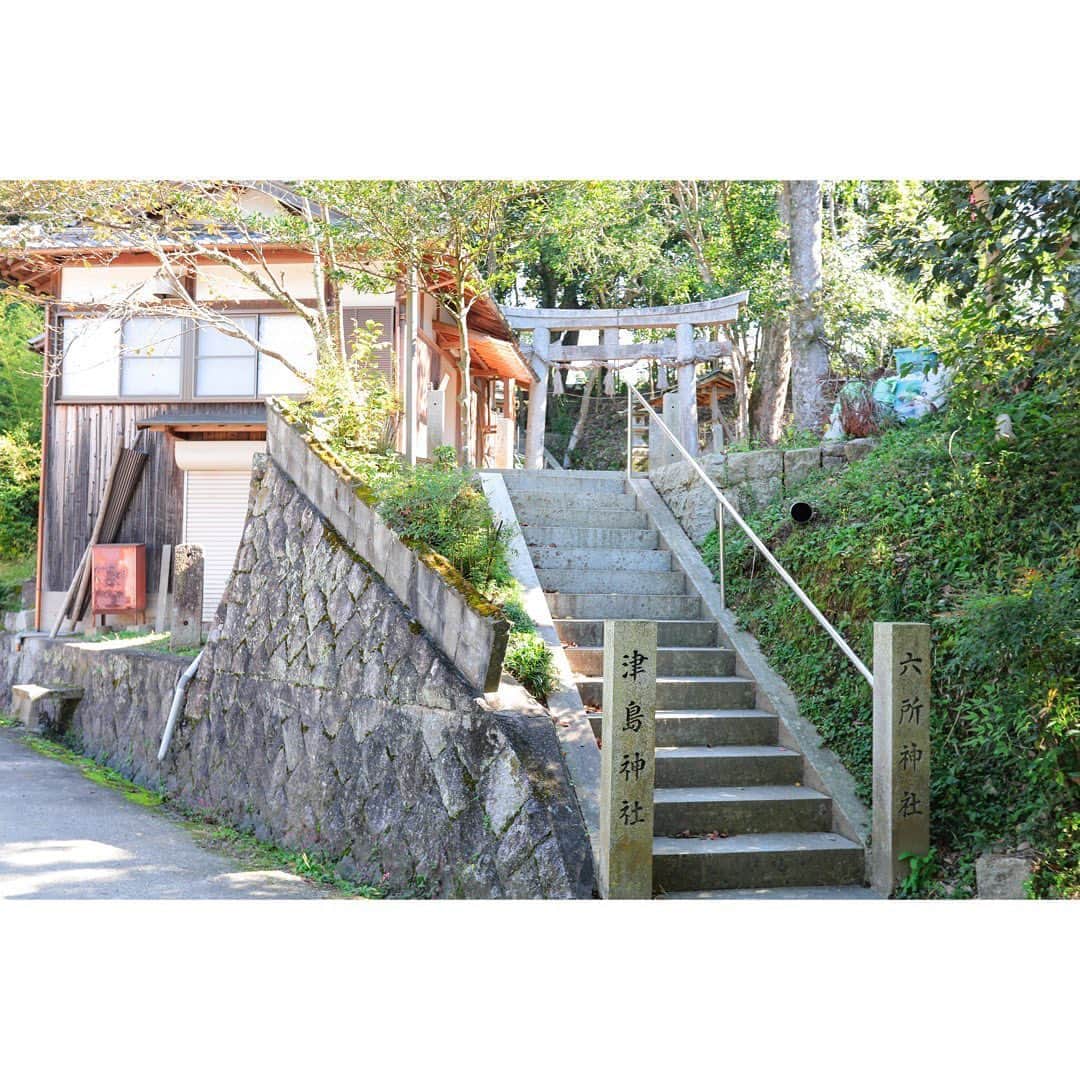 岩原大起さんのインスタグラム写真 - (岩原大起Instagram)「きょうはWikipediaのカラクリをお伝えしました！  取材では、京都・南山城村を実際に歩き 自分たちの目で見て、聞いて情報収集し ページを充実させていく活動に密着させて頂きました！  南山城村に関連したWikipediaページでは 私の撮った写真も10枚近く使用されています！ ぜひ一度みてみてください🤩！  取材にご協力くださった皆さん ありがとうございました！  #ytv #読売テレビ #かんさい情報ネットten  #カラクリ #取材 #ウィキペディア #wikipedia  #京都 #南山城村 #自然 #茶畑」11月6日 21時07分 - ytv_iwahara