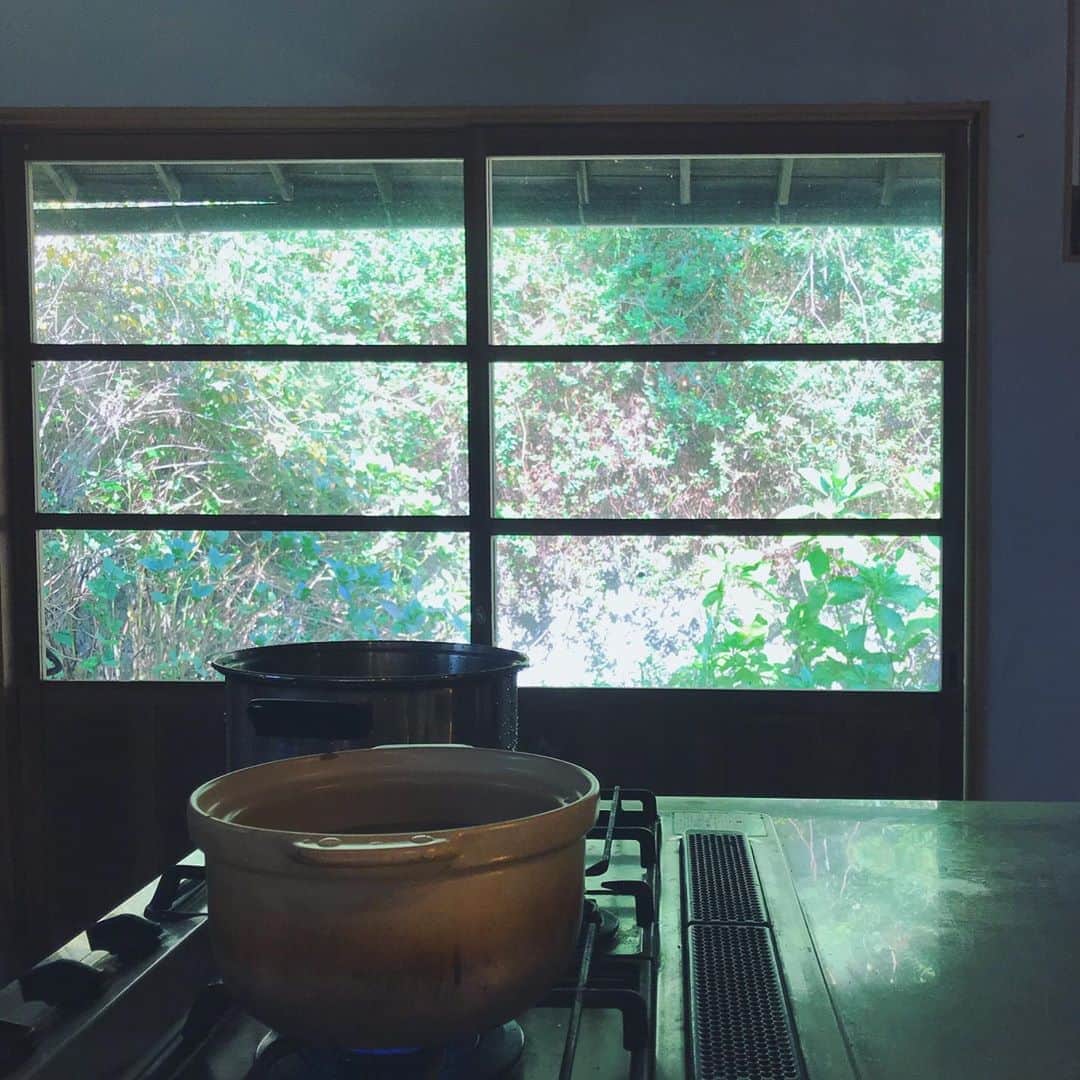 HALCAさんのインスタグラム写真 - (HALCAInstagram)「11月1日の #世界ヴィーガンデー は #ヴィーガン弁当 を30食、作りました🌾 豊かな自然と広いキッチンと賑やかな子どもたち 冷たい水と窓から差し込む光と畑のマコモダケと #_halcafe_ #halcafe #veganbento」11月6日 21時11分 - halca_
