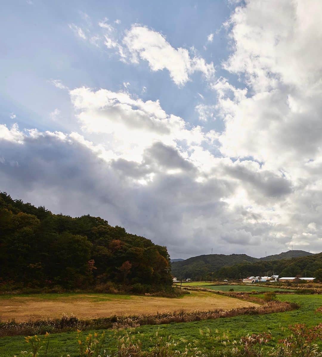 ANDERSEN アンデルセンさんのインスタグラム写真 - (ANDERSEN アンデルセンInstagram)「「Andersen Farm」　﻿ ﻿ photo by Teruaki Kawakami﻿ ﻿ 私たちは﻿ ベーカリーでありながら﻿ アンデルセンファームという﻿ 農場を持っています。﻿ ﻿ 2005年　広島県の北部﻿ パンのある暮らしを﻿おいしく支えるため﻿ アンデルセンファームを﻿開場しました。﻿ ﻿ そこで私たちは りんごを﻿ 育てています。﻿ ﻿ そのりんごを使った発酵種で﻿ 作るパンが﻿ ﻿ 「ファーマーズブレッド」﻿ ﻿  #ファーマーズブレッド ﻿ #アンデルセンファーム #アンデルセン﻿ #パン #ベーカリー #アンデルセンのパン﻿ #りんご﻿ #ヒュッゲ #デンマーク #パンのある暮らし ﻿ #パンのある生活 #パンスタグラム #パン大好き ﻿ #andersen #bread #bakery #hygge ﻿ #denmark #breadlover #hyggelife #🇩🇰」11月6日 21時24分 - andersen_official_jp