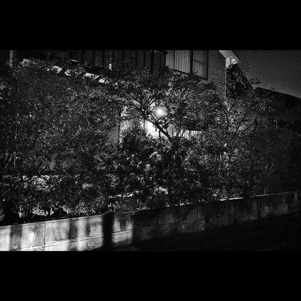 Tatsuo Suzukiさんのインスタグラム写真 - (Tatsuo SuzukiInstagram)「Neighborhood」11月6日 21時29分 - tatsuo_suzuki_001