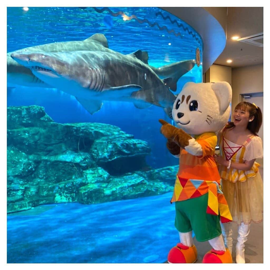 江頭ひなたさんのインスタグラム写真 - (江頭ひなたInstagram)「水族館にてロケ😄😄ルークは初めての水族館でした💕  #しながわ水族 #水族館 #ルーク #エゾクロテン #ファミリーショー #歌のお姉さん #歌のおねえさん #うたのおねえさん #ひなたお姉さん #キャラクター #着ぐるみ #ゆるキャラ #mascot #江頭ひなた」11月6日 12時37分 - hinataeto