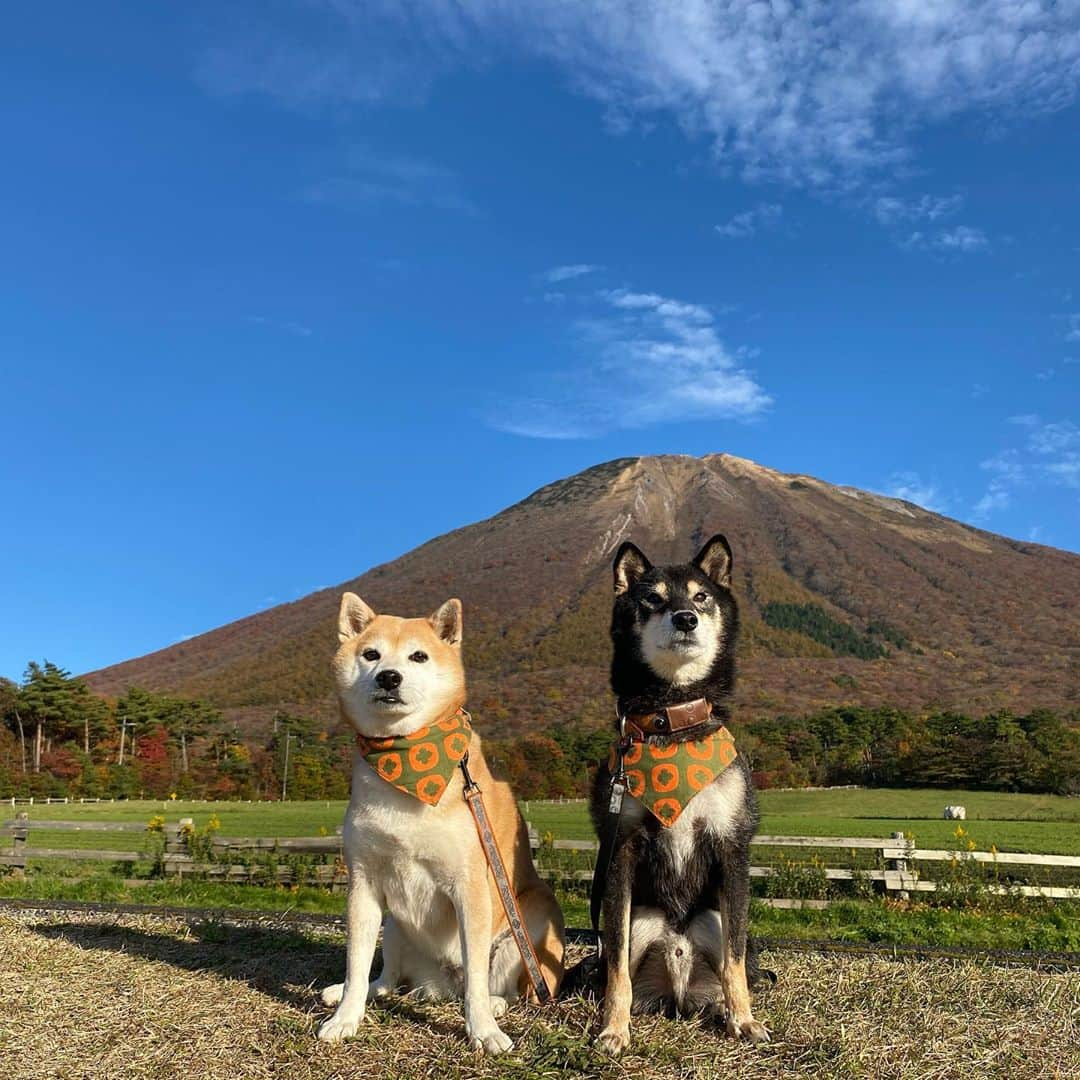 がんちゃんさんのインスタグラム写真 - (がんちゃんInstagram)「昨日の大山はとっても空が綺麗でくっきり見えました⛰」11月6日 12時40分 - kota2ann