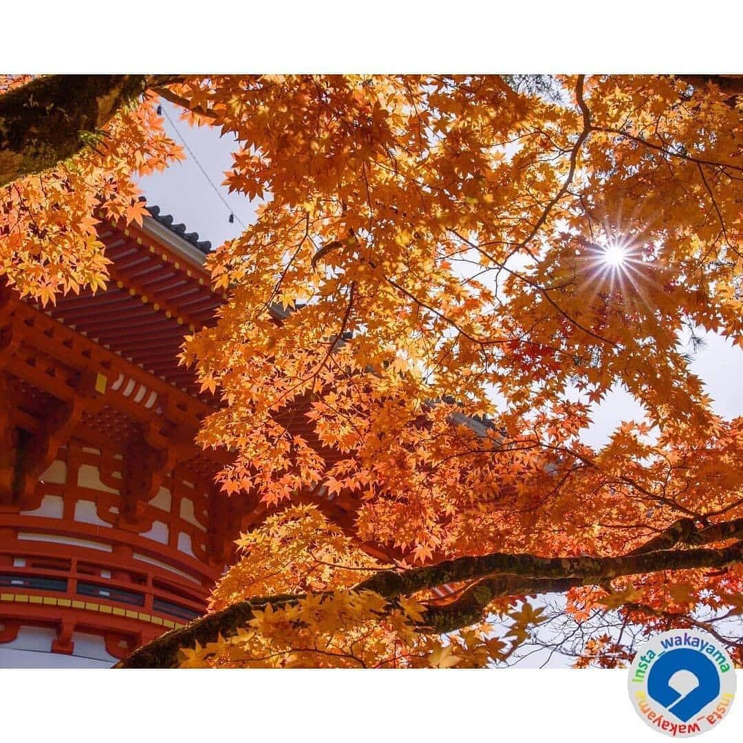 和歌山県のインスタグラム