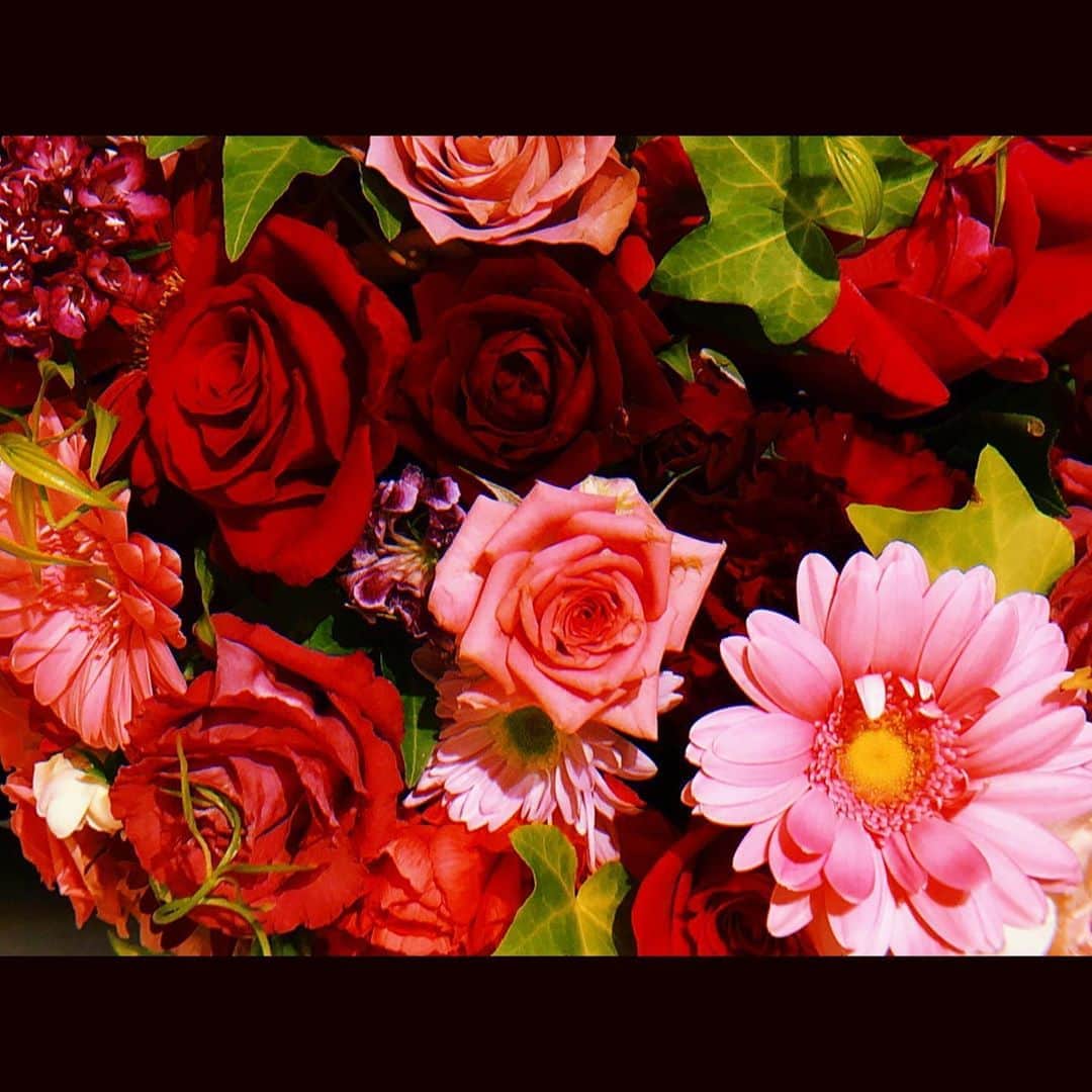 のインスタグラム：「.  No Flower No Life  #87096」