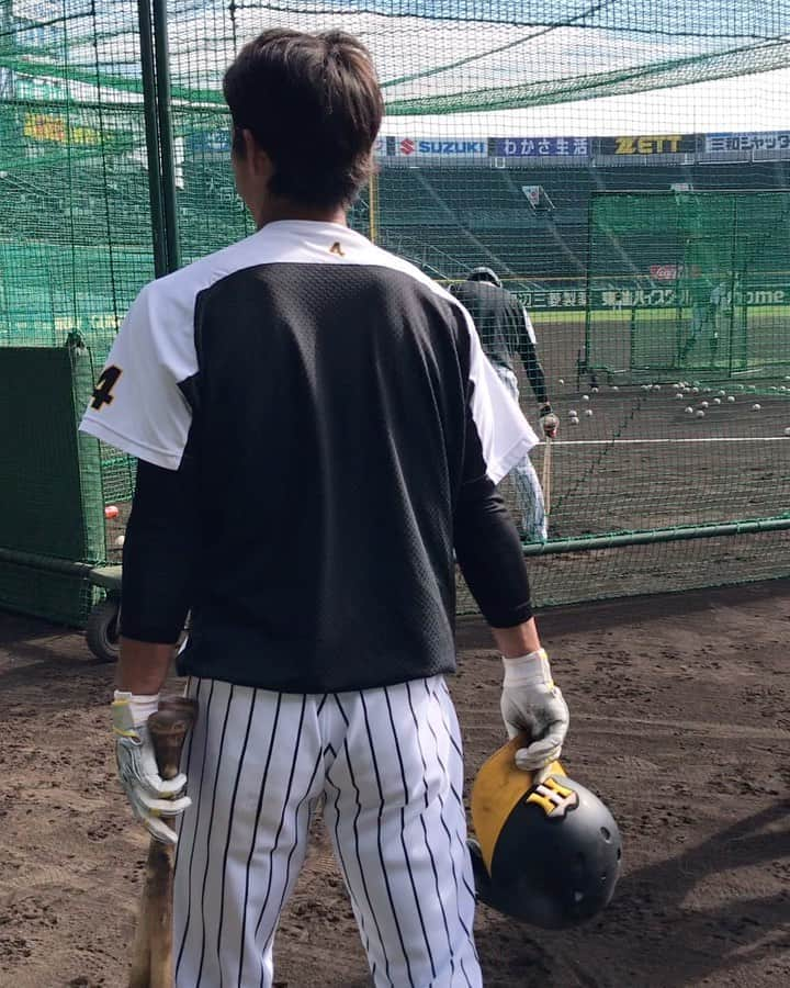 阪神タイガースのインスタグラム